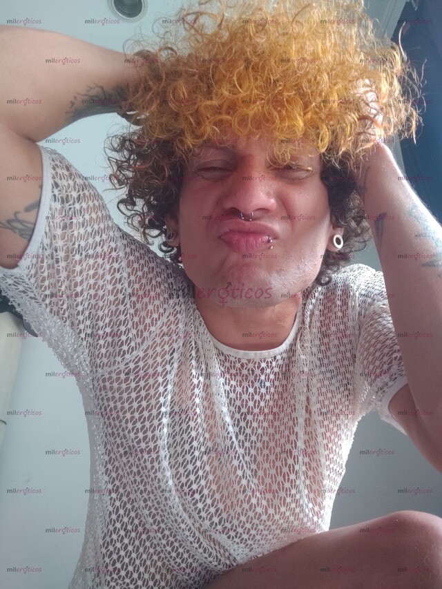 FOTOS DE LLEGÓ TU PRÍNCIPE VERGON LECHERO ATENTO