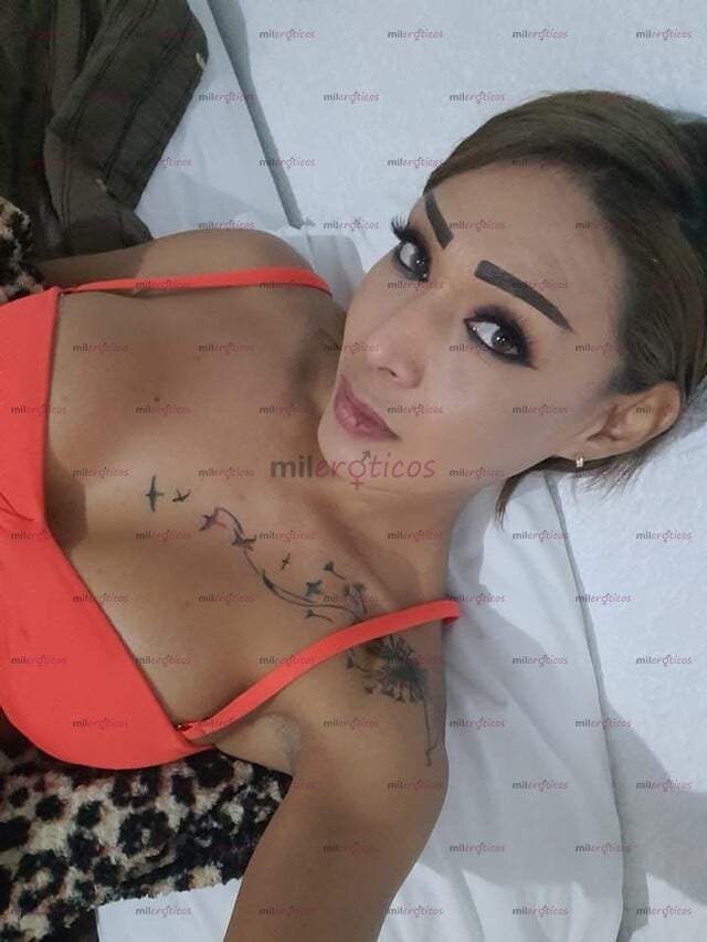 FOTOS DE LLEGO L COSTEÑA LISTA PARA PREÑAR CULOS , TW DOY Y ME DAS LECHE