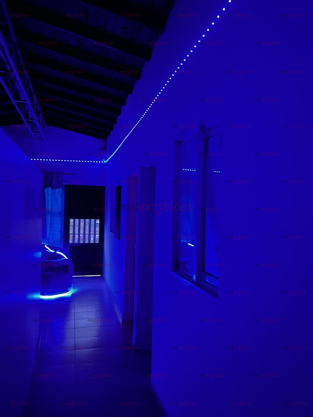 FOTOS DE CUPOS DISPONIBLES LAURELES TRABAJA COMO INDEPENDIENTE EN UN ESPACIO CÓMODO