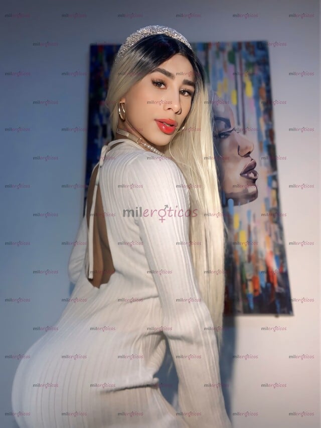 FOTOS DE CHICA TRANS 21CM Y UN CULO REDONDO Y ESTRECHO ,EN MI COMPAÑÍA ENCONTRARÁS
