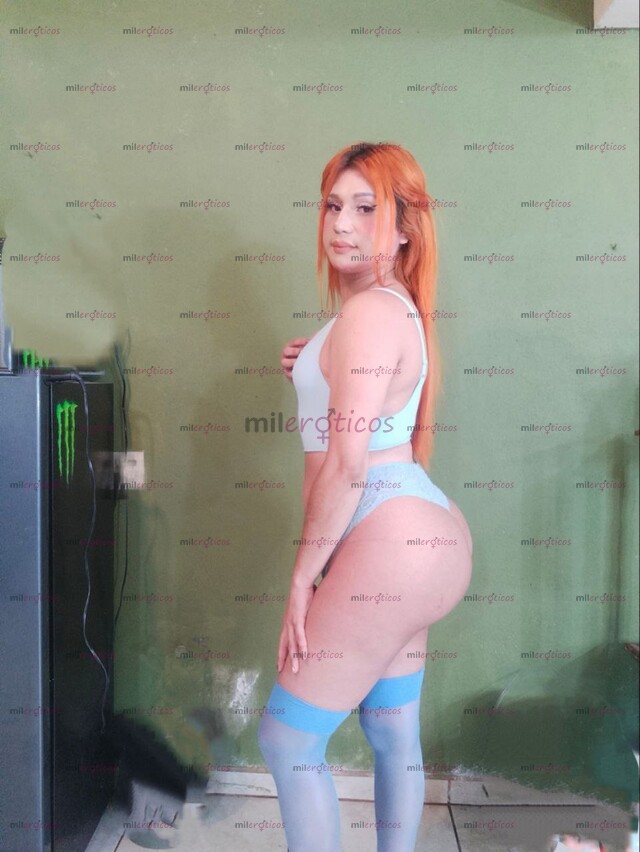 FOTOS DE (P)MARIA TRANSEXUAL LISTA Y CACHONDA PARA ESTAR EN TU CAMA