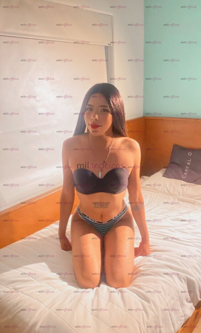 FOTOS DE DELICIOSA TRANS DELGADITA NALGONA DORADA SÚPER COMPLACIENTE