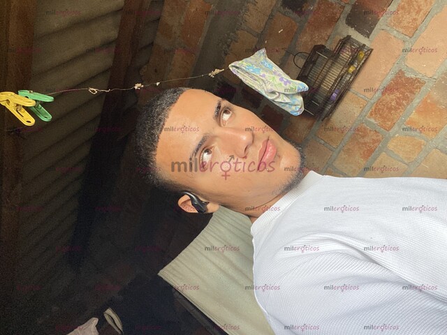 FOTOS DE DISPUESTO A TODO POLLO NUEVO EN TU CIUDAD VERSÁTIL DISPUESTO A TODO