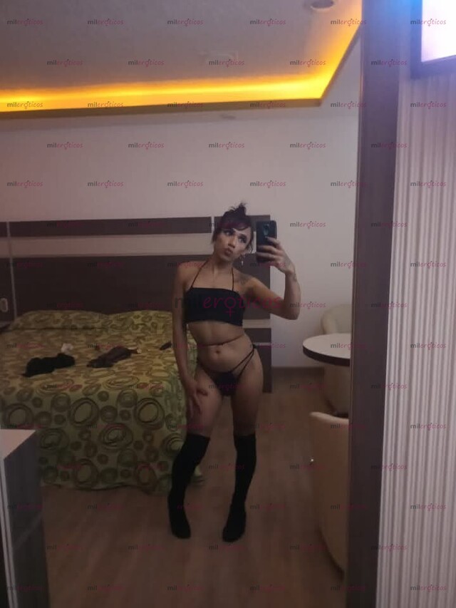 FOTOS DE ARDIENTE CHICA TRANS LATINA VERSÁTIL VERGONA CACHONDA Y MUY COMPLACIENTE