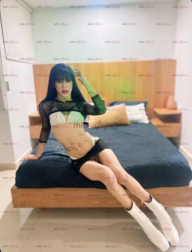 FOTOS DE ALAYHA NENA TRANS VERSATIL VERGONA NUEVA POR ACÁ CON SITIO PRIVADO LLAMA YA