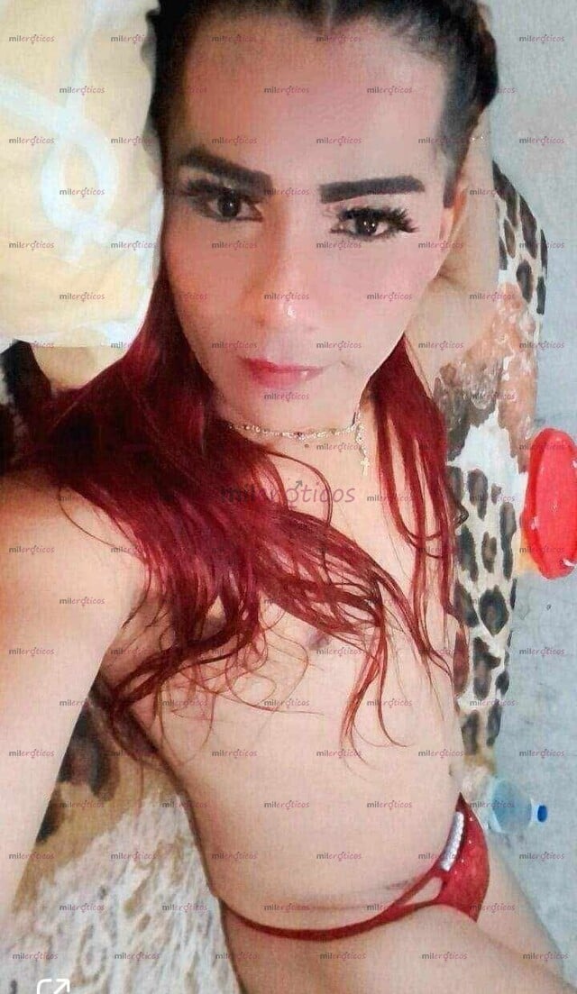 FOTOS DE CHICA TRANS SEXY NUEVA EN LA CUIDAD CAPAS DE COMPLACER EN TODOS TUS DESEOS SEXUA