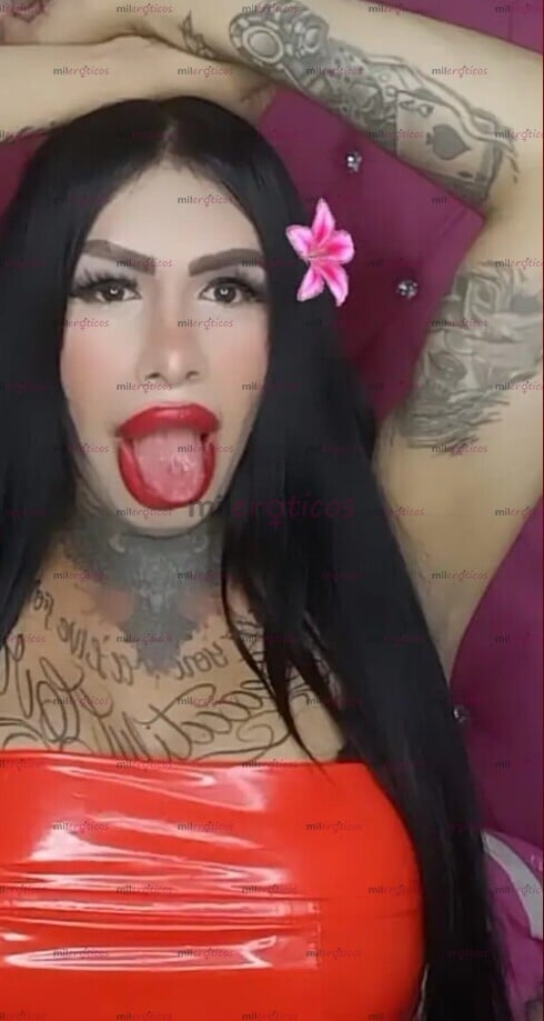 FOTOS DE HOLA SOI JOCELIN NENA TRANSEXUAL LABIOS GIGANTES MORENA CULO ARDIENTE
