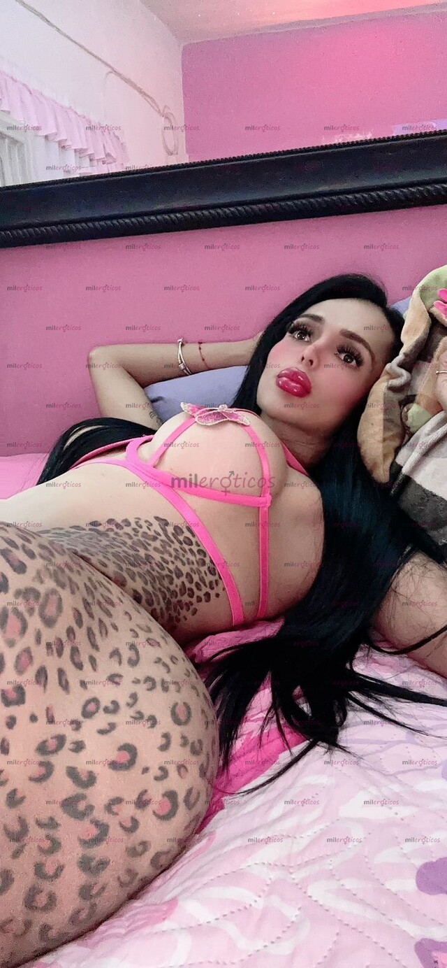 FOTOS DE FIESTERA Y CACHONDA SOLO HOY EN CORDOBA AGENDA TU CITA EXUBERANTE TRANSEXUAL