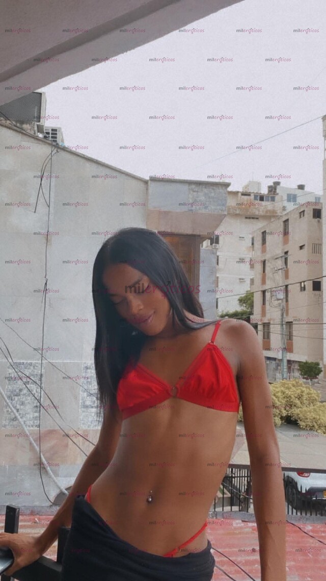 FOTOS DE LO NUEVO MÁS NUEVO EN TU CIUDAD CAMILA PERRA LECHERA VERGONA