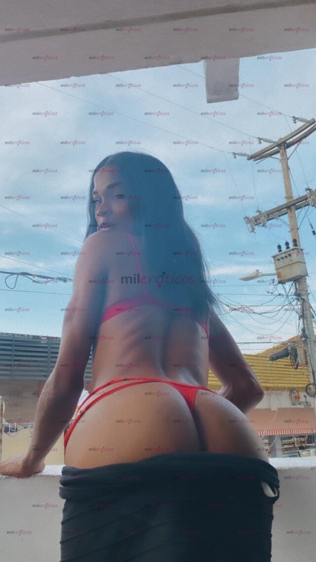 FOTOS DE LO NUEVO MÁS NUEVO EN TU CIUDAD CAMILA PERRA LECHERA VERGONA