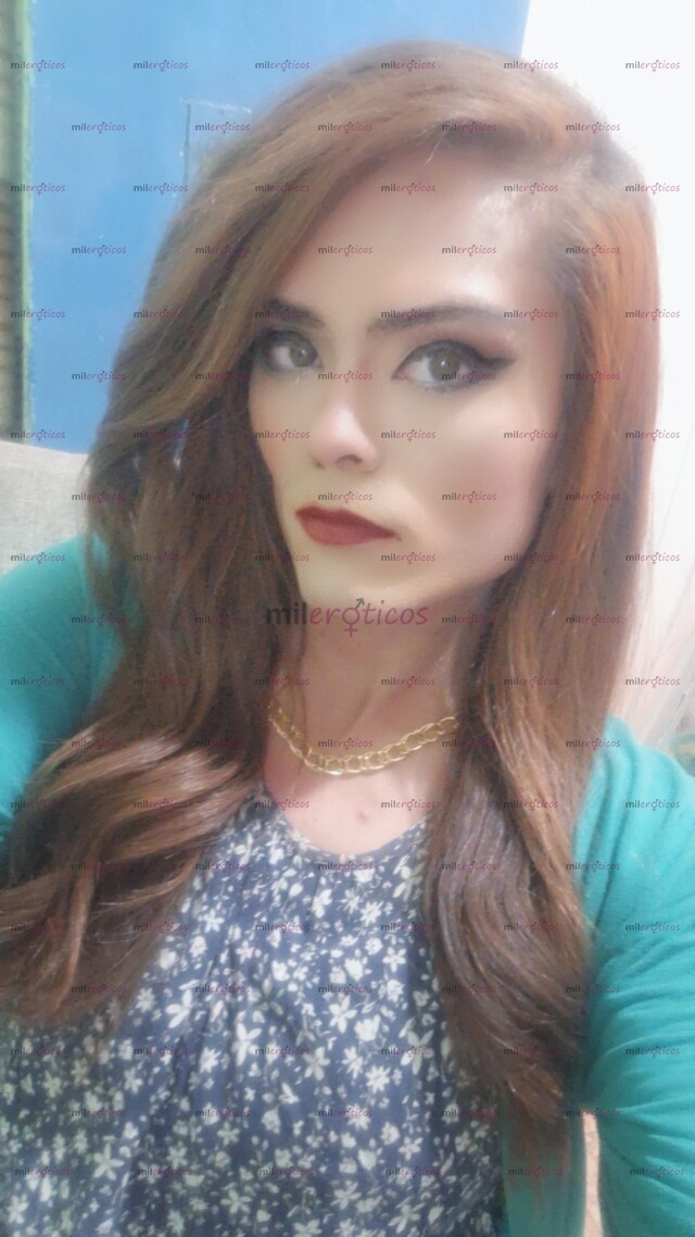 FOTOS DE TRANSDISPUESTAATODO CONLUGARINLCUIDOINTER PORTIEMPOLIMITADO