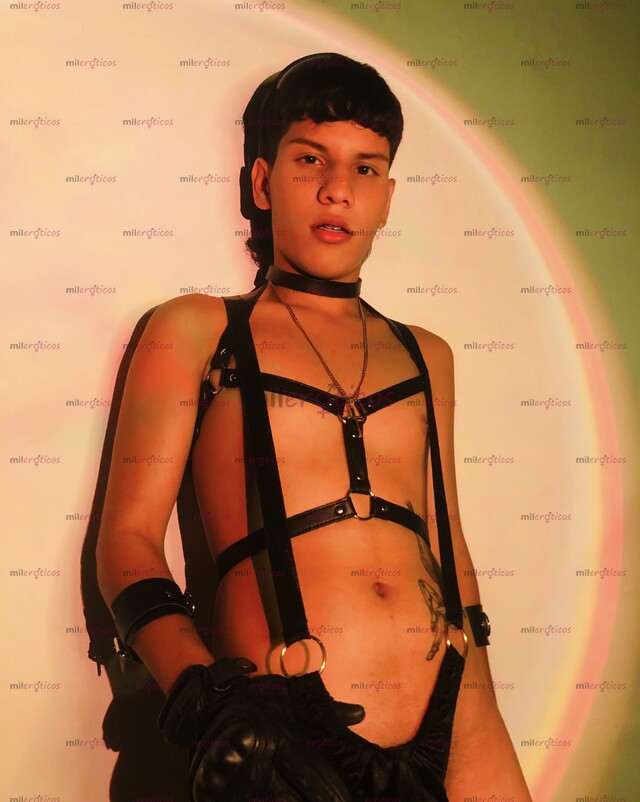 FOTOS DE POLLO ACTIVO VERGÓN 19CM TALLADOR DE CULOS