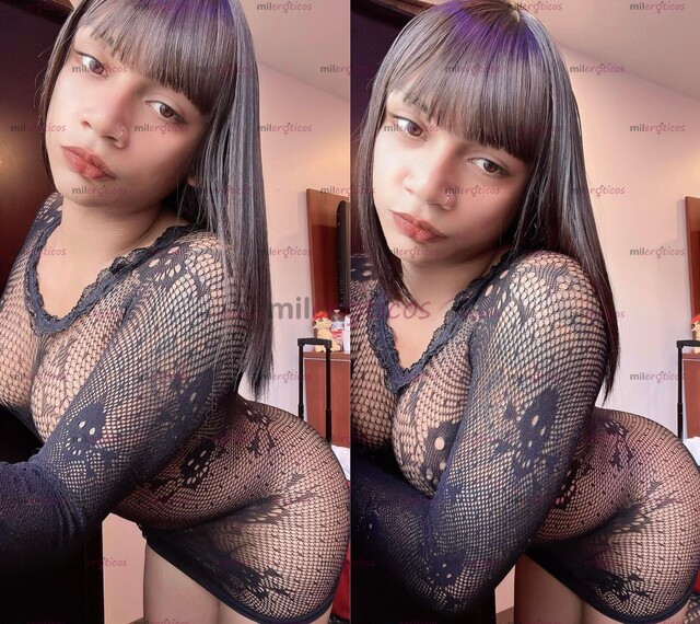 FOTOS DE HOLA SOY DANIELA NUEVA EN LA CIUDAD DE MEDELLÍN. NO DUDES EN ESCRIBIRME