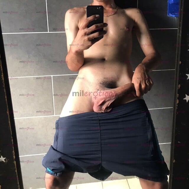 FOTOS DE POLLO VERGONCITO VERSÁTIL DE PASO POR TU CIUDAD
