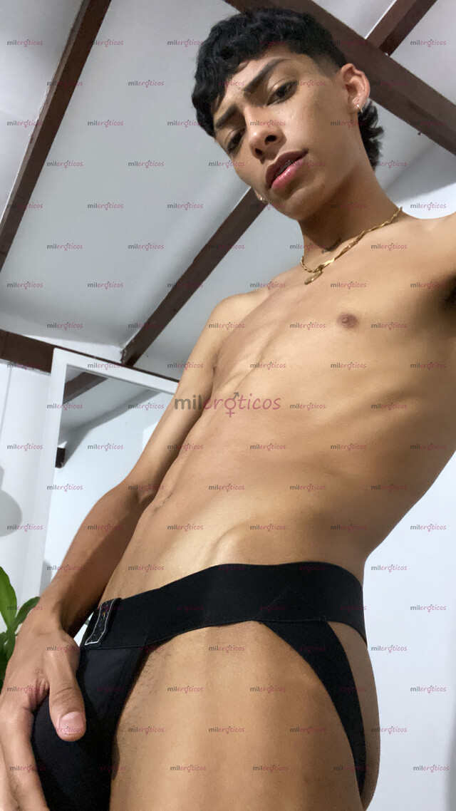 FOTOS DE POLLO LECHERO 21CM UNIVERSITARIO MUY ARRECHO VENTA CONTENIDO