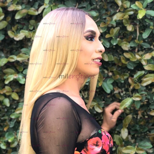 FOTOS DE BUSCAS CARNE FRESCA ESCRIBEME PAPI VAMOS A PASARLA BIEN