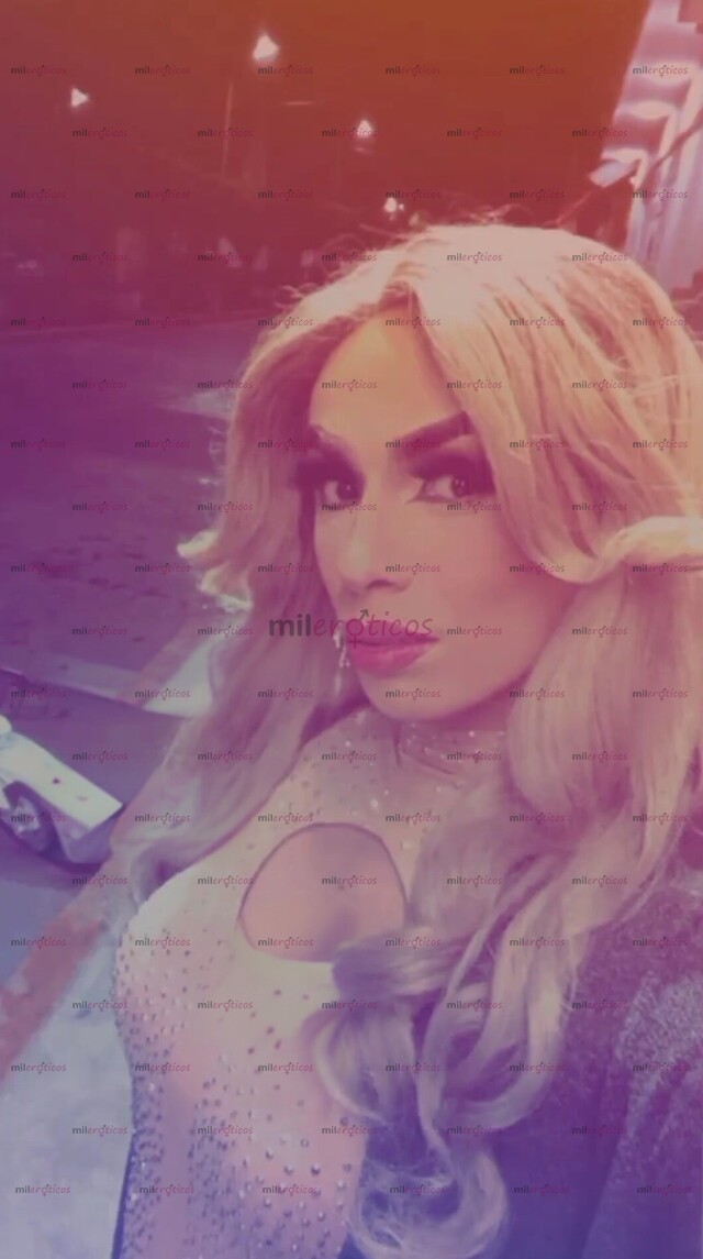 FOTOS DE BUSCAS CARNE FRESCA ESCRIBEME PAPI VAMOS A PASARLA BIEN