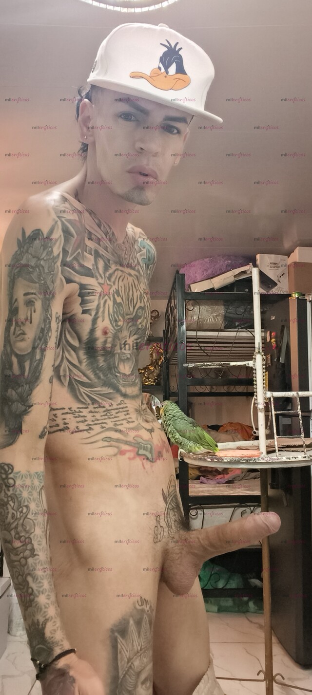 FOTOS DE FLACO BLANCO TATUADO VERGON SERIO MORBOSO