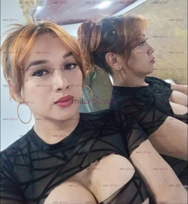 FOTOS DE CUCUTA SENOS ÓPERADOS TRAVESTI REAL SITIO DISCRETO ACA