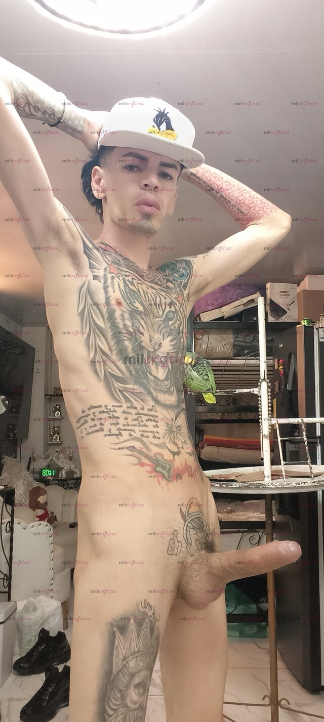 FOTOS DE FLACO VERGON TATUADO ACTIVO MORBOSO LECHERO