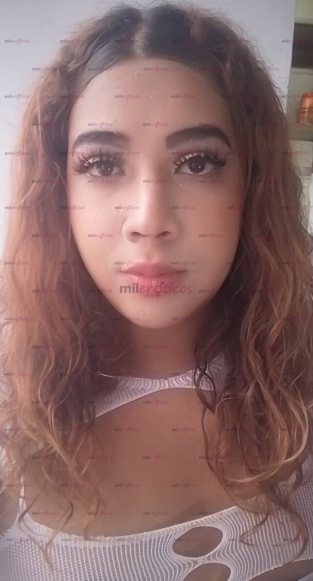 FOTOS DE TRANSEXUAL MUY MAMONA TRAGONA MUY ESPECIAL TRATO LECHERA Y COMPLACIENTE