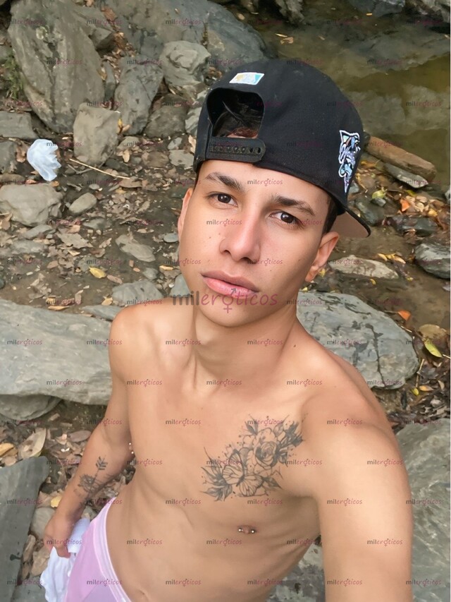 FOTOS DE CACORRO VERGON 22CM DISPUESTO A COMPLACERTE