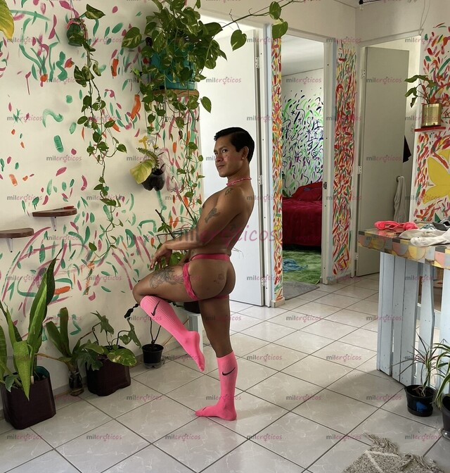 FOTOS DE P,ETITE MIDO 1,46 INTER PASIVO PARA HACER EL AMOR O FOLLARME DURO MORBOSO