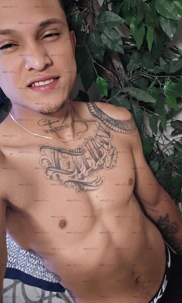 FOTOS DE CHAKAL COLOMBIANO VERGON COMPLACIENTE FIESTERO