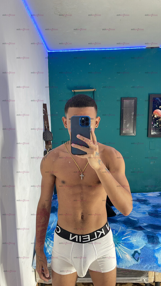 FOTOS DE POLLO VENEZOLANO VERSÁTIL DE 20CM COMPLACIENTE