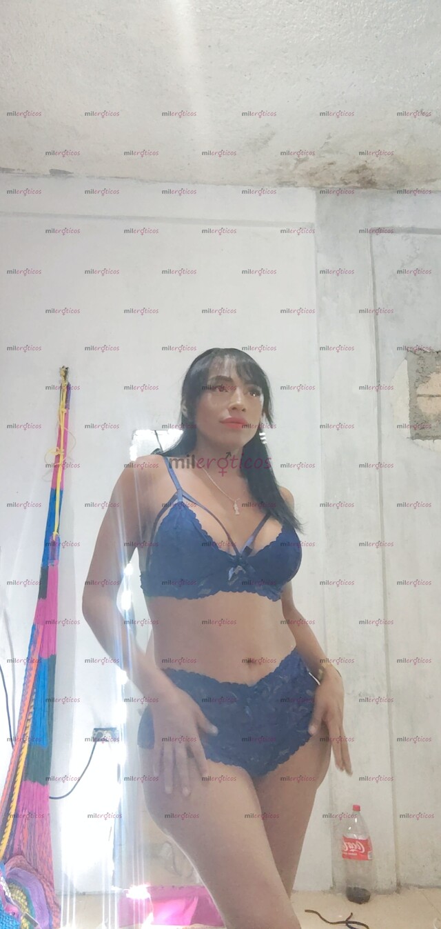 FOTOS DE TRANS JAROCHA ,FOESTERA ,ACTIVA Y PASIVA