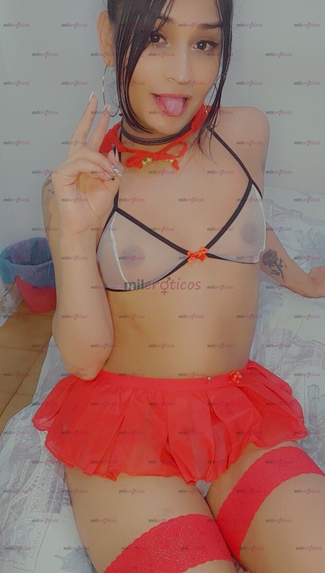 FOTOS DE FEMENINA COMPLACIENTE CHICA TRANS NATURAL MORBOSA ARRECHA