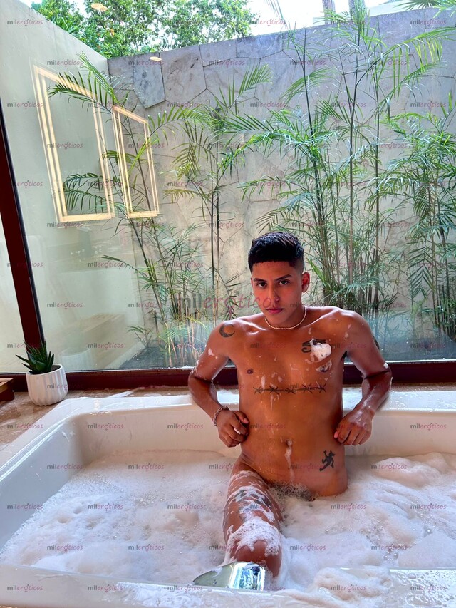 FOTOS DE ARGENTINO 20CM ACTIVO PARA SOLVENTES CALENTONES PDC