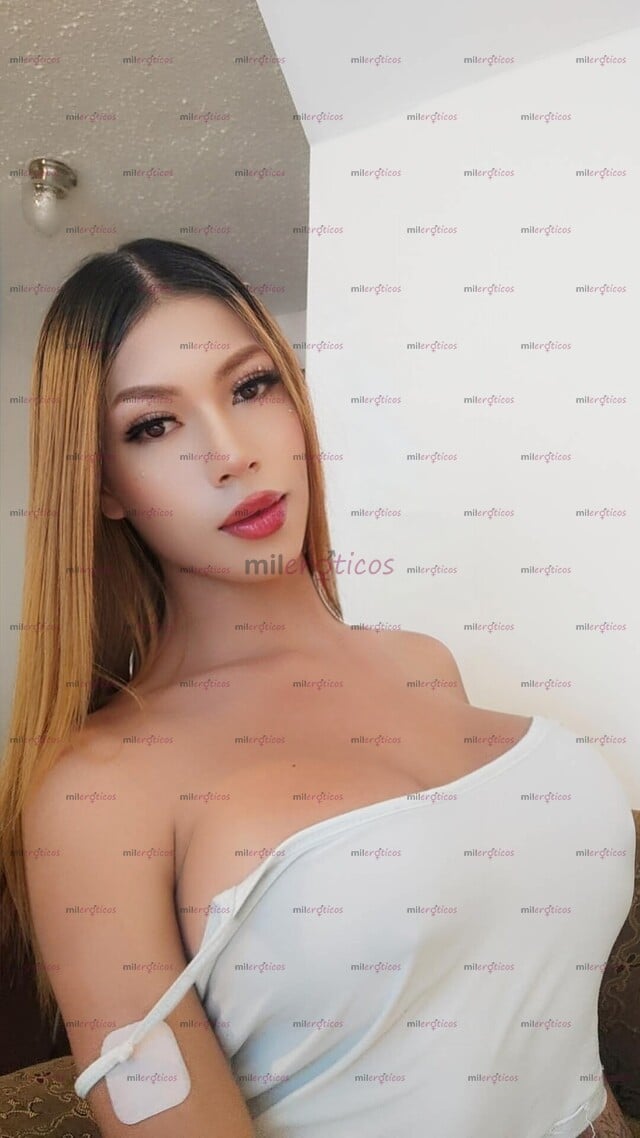 FOTOS DE LLEGÓ TU POLLA DISPONIBLE EN TU CUIDAD TRANS DE LUJO