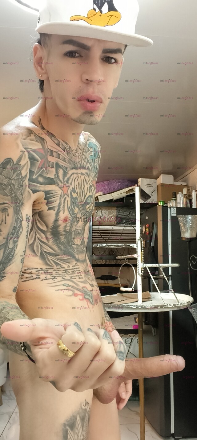 FOTOS DE FLACO ACTIVO BLANCO TATUADO MORBOSO VERGON