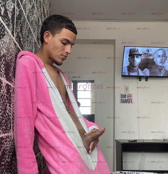 FOTOS DE DISPONIBLE EN TU CIUDAD POLLO VERGA GRUESA LECHERO VERSÁTIL CALIENTE