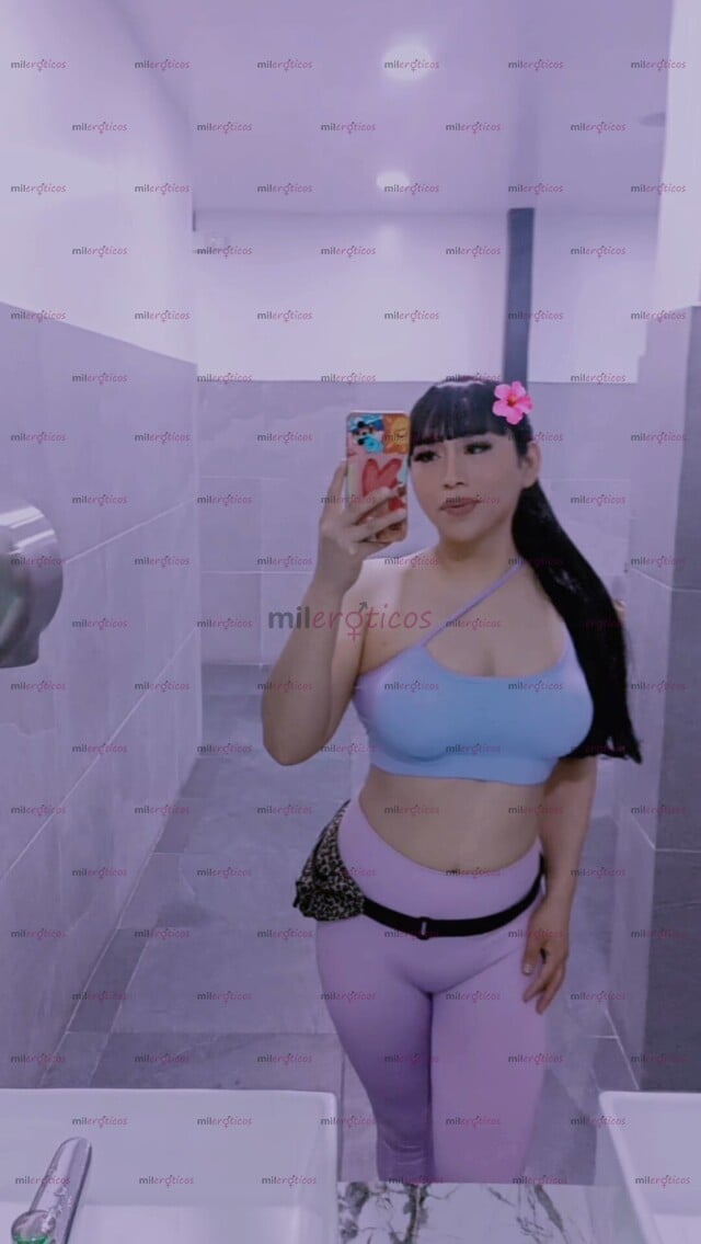 FOTOS DE TRANNY GUAPA Y LINDA APARIENCIA DE MUJER 100%, SOLO HOSPEDADOS 24 HRS DISPONIBLE
