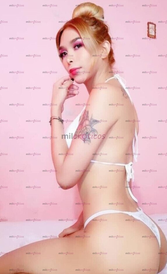 FOTOS DE MEGA PROMOCIÓN SOLO HOY APROVECHA FIESTERA INTER VERGOTA