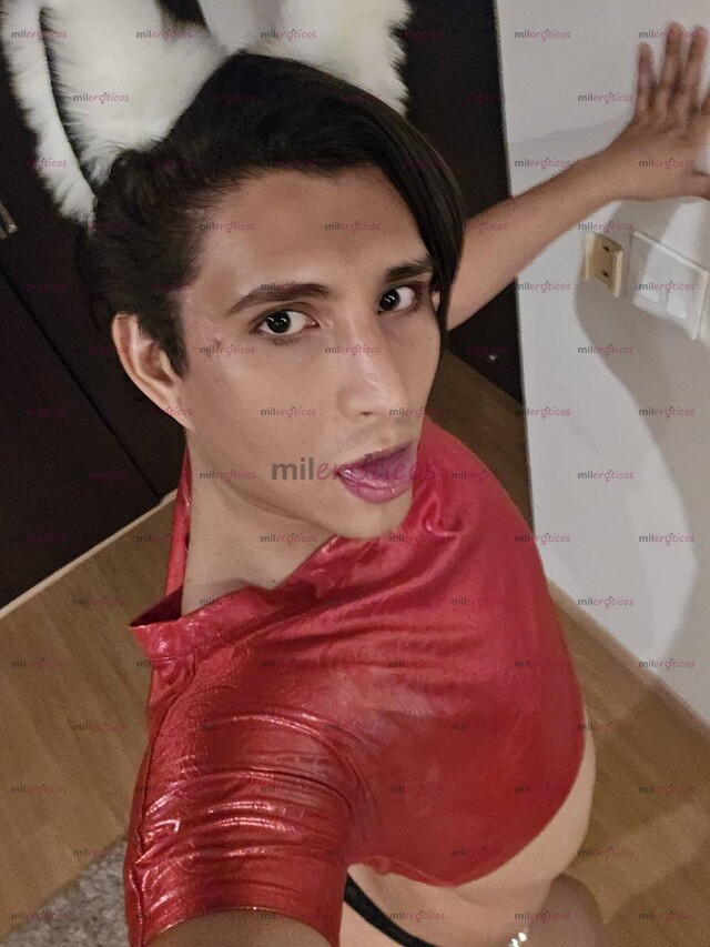 FOTOS DE ZORRITA ROXXY PUTITA OBEDIENTE Y SUMISA BUSCANDO CASTIGO