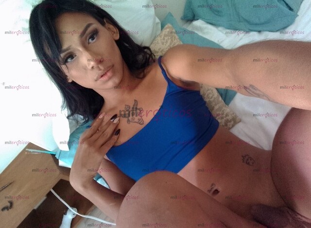 FOTOS DE EVA NENA TRANS VERSATIL CALIENTE LUJURIOSA Y EXPERTA EN EL SEXO ORAL