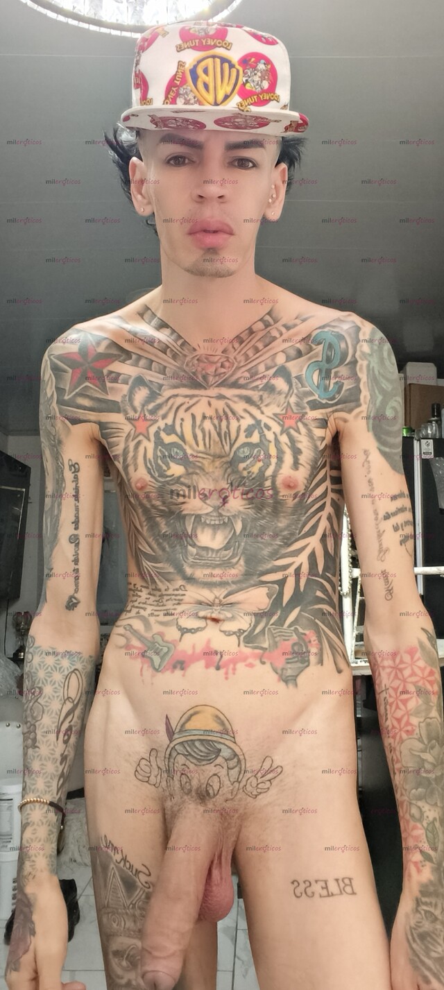 FOTOS DE FLACO ACTIVO VERGON LECHERO BLANCO TATUADO