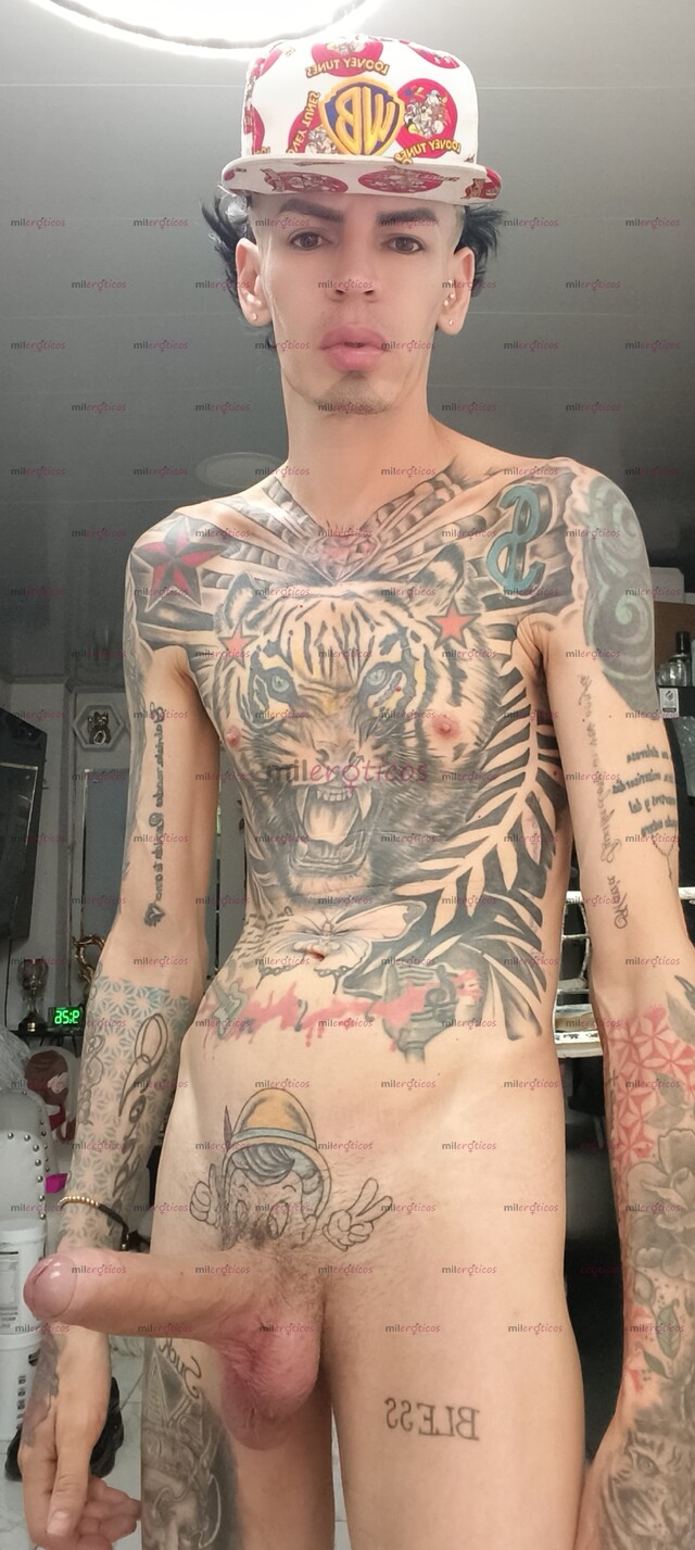 FOTOS DE FLACO ACTIVO VERGON LECHERO BLANCO TATUADO