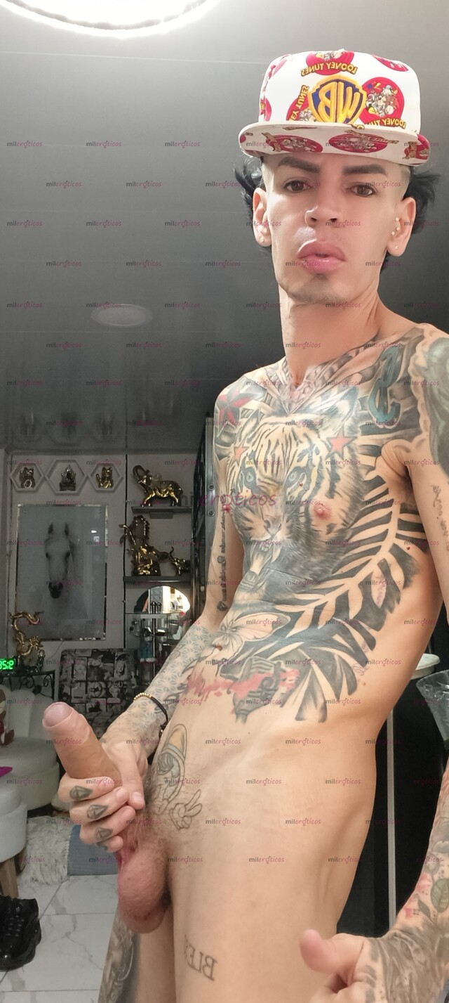 FOTOS DE FLACO ACTIVO VERGON LECHERO BLANCO TATUADO