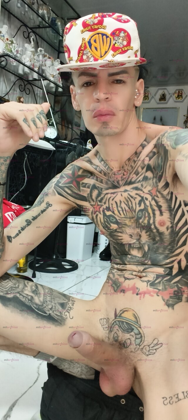 FOTOS DE FLACO ACTIVO VERGON LECHERO BLANCO TATUADO