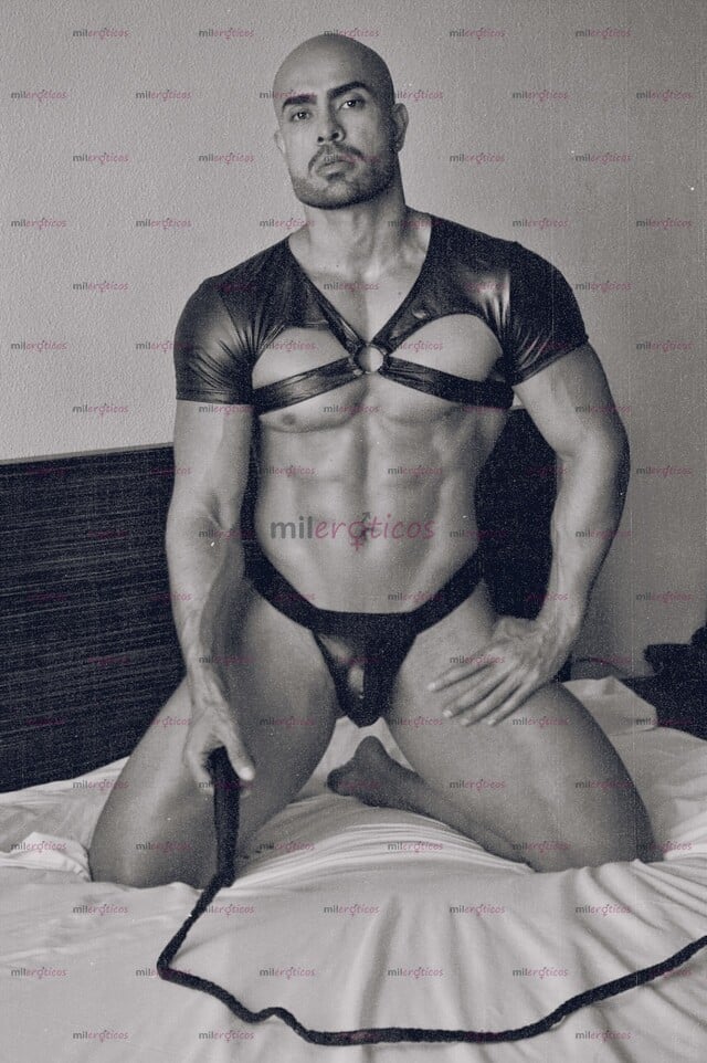 FOTOS DE DAMIANO 22 CM CABALLERO DE COMPAÑÍA CUMPLO TODAS TUS FANTASÍAS EROTICAS