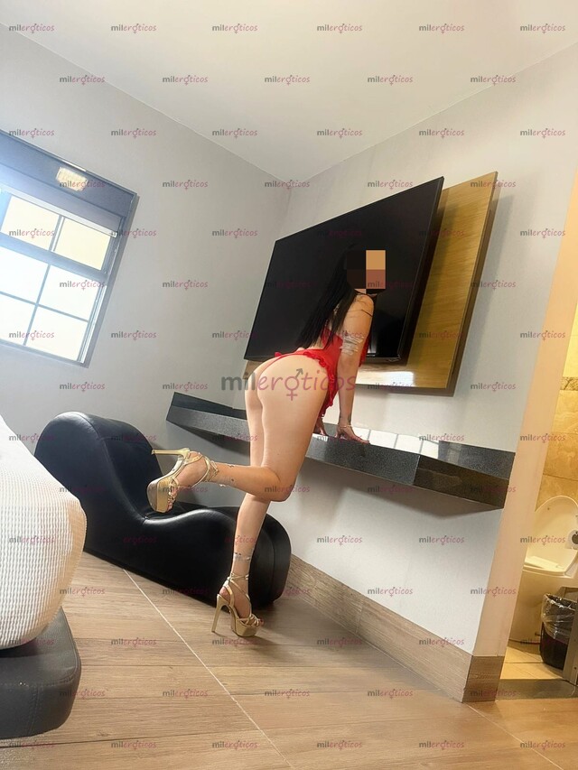 FOTOS DE PERRITA SUPER CALIENTE INICIANDO MUY CACHONDA