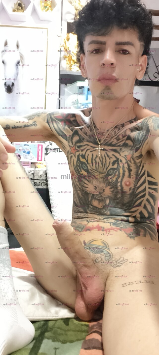 FOTOS DE FLACO VERGON BLANCO TATUADO MUY ACTIVO SERIO