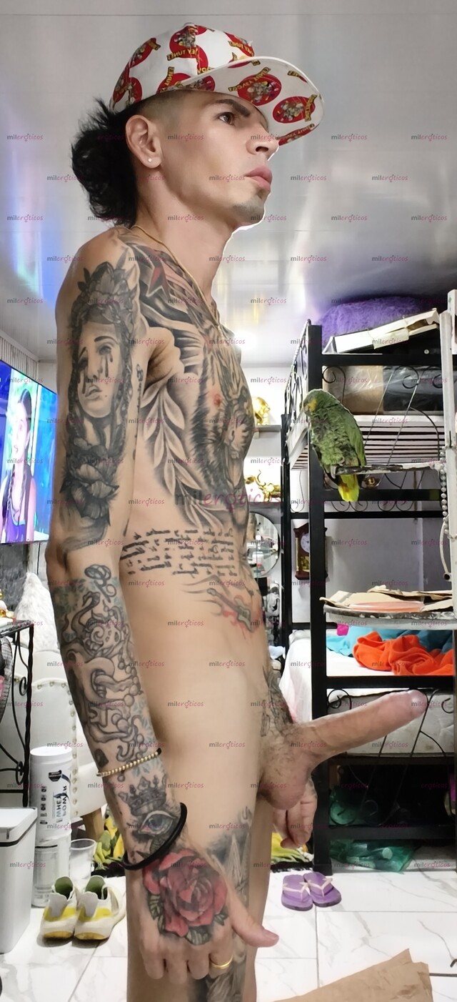 FOTOS DE FLACO ACTIVO TATUADO VERGON MORBOSO LECHERO