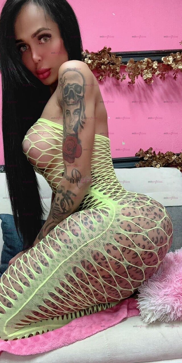 FOTOS DE FIESTERA Y CACHONDA SOLO HOY EN CORDOBA AGENDA TU CITA EXUBERANTE TRANSEXUAL