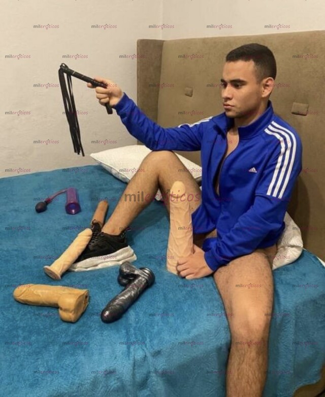 FOTOS DE VEN PARA HACERTE MI PERRA FELIPE VIP INTERNACIONAL VERGON FULL ERECCIÓN