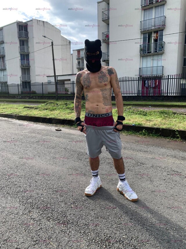 FOTOS DE POLLO DE PASO GUARRO DESCOMPLICDO CERDO LECHERO PARA TUS FANTASIAS SEXUALES
